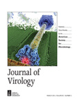 journal-virology-19