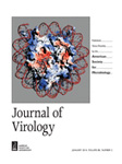 journal-virology
